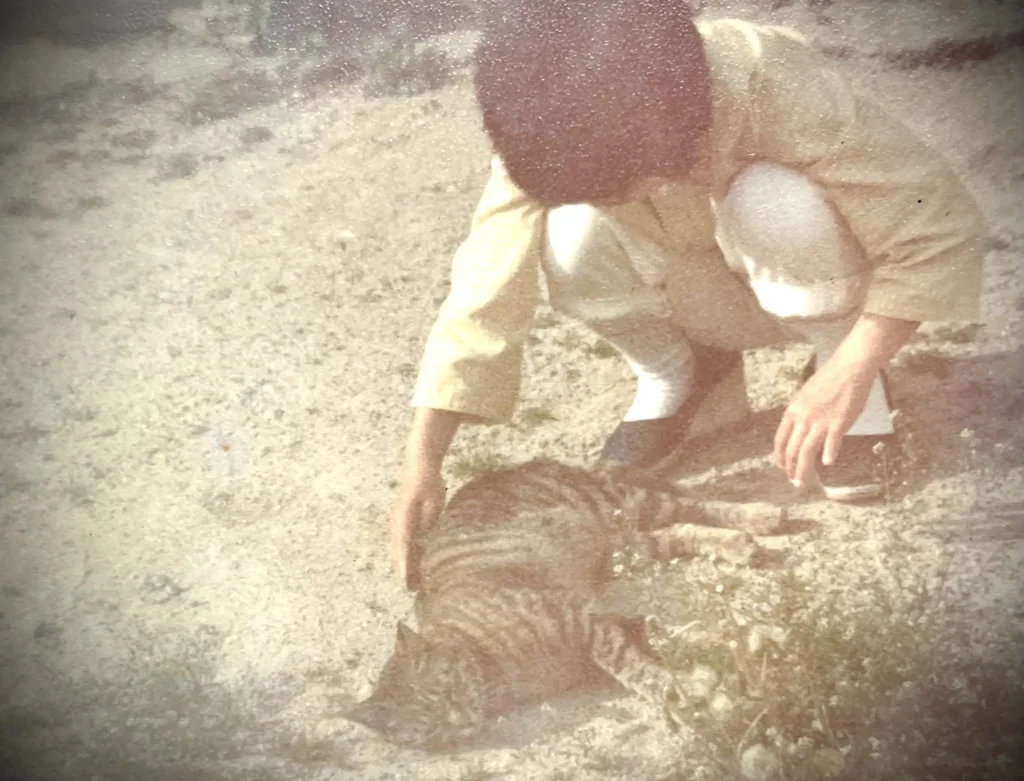 10代の私と愛猫